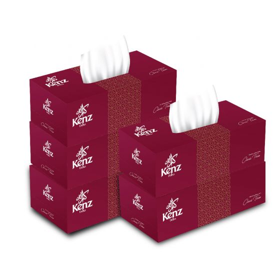 KENZ DOHA FACIAL TISSUE 2PLY 5X200S