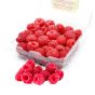 RASPBERRIES DRISCOLLS USA 1 PACKET 