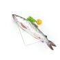 Cat Fish Big Doha 1KG Approx weight